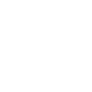 Benzin Icon
